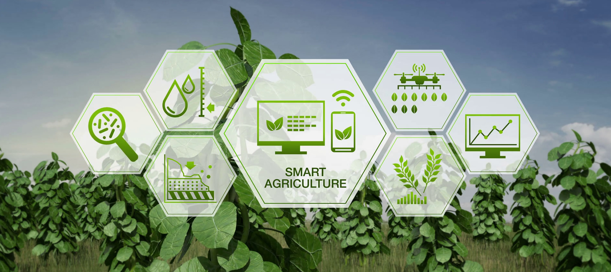 Mengenal Dan Manfaat Smart Agriculture - Pusat Pelayanan Teknologi ...